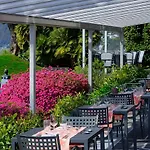Collinetta Ascona