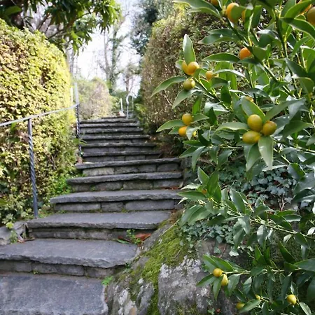 Collinetta Hotell Ascona