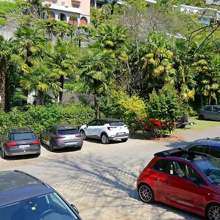Collinetta Ascona