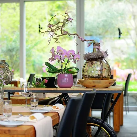 Collinetta Hotel 3*