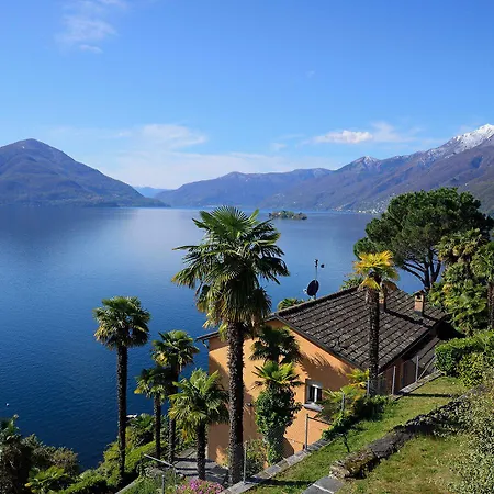 Collinetta Ascona