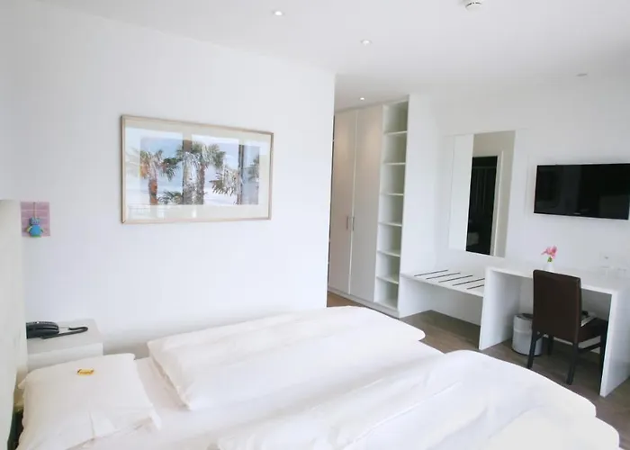 Collinetta ホテル アスコナ