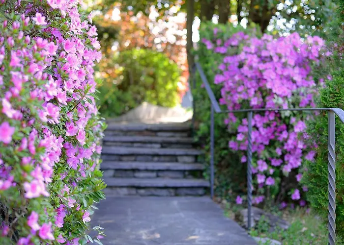 Collinetta 3* Аскона