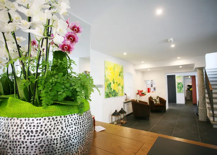 Collinetta アスコナ