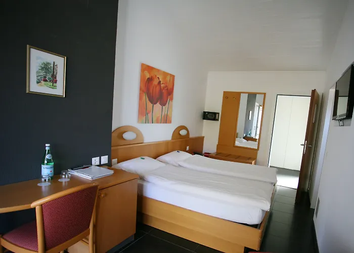 Collinetta アスコナ