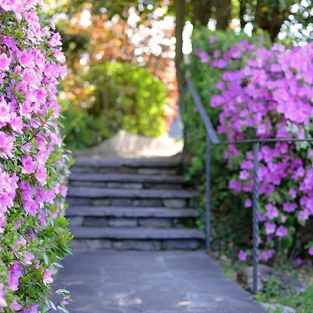 Collinetta 3* Ascona